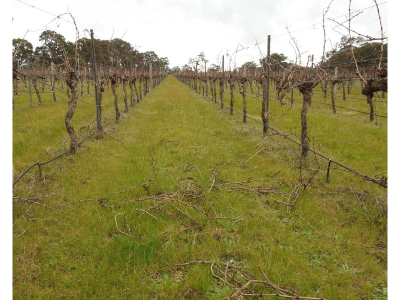 Lot 201/90 Cowaramup Bay Road, Cowaramup WA 6284