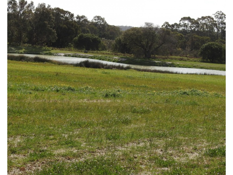 Proposed Lot 41 Haag Road, Yelverton WA 6280