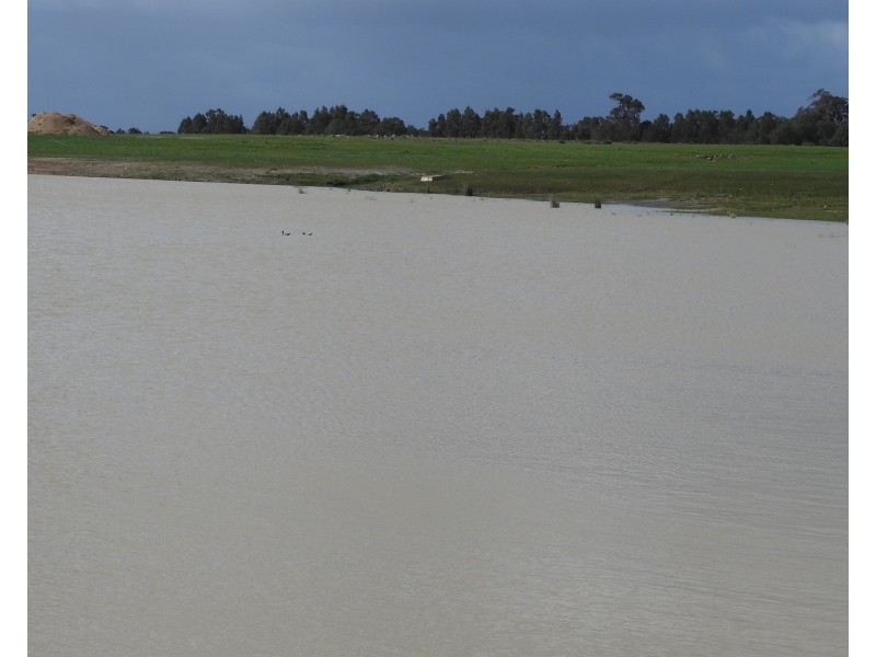 Proposed Lot 41 Haag Road, Yelverton WA 6280