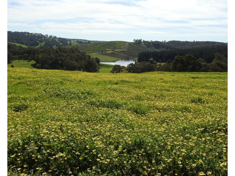 Lot 8295 & 8296 Cundinup South Road, Cundinup WA 6275