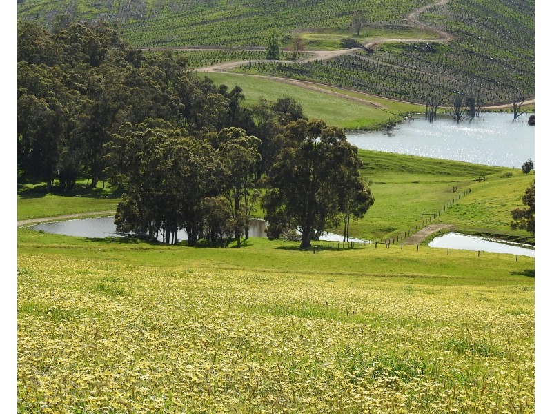 Lot 8295 & 8296 Cundinup South Road, Cundinup WA 6275