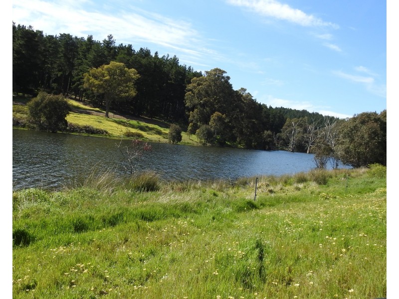 Lot 8295 & 8296 Cundinup South Road, Cundinup WA 6275