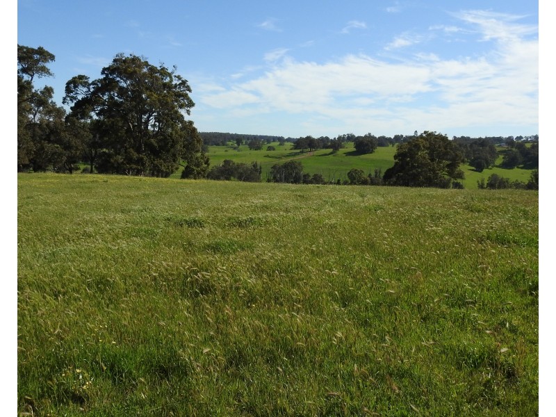 Lot 8295 & 8296 Cundinup South Road, Cundinup WA 6275