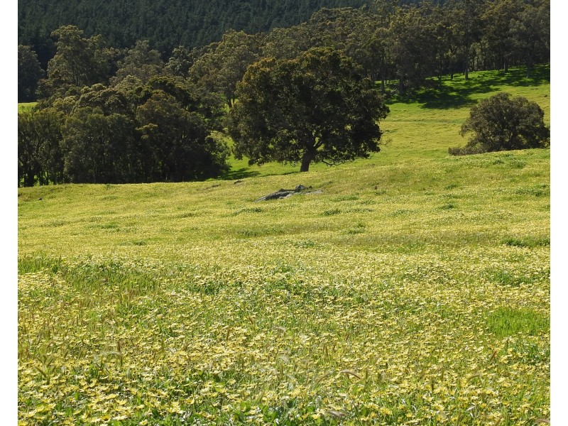 Lot 8295 & 8296 Cundinup South Road, Cundinup WA 6275