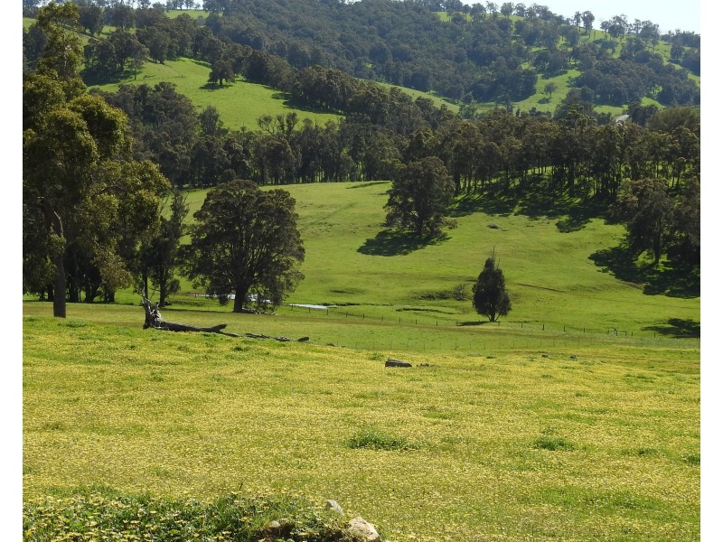 Lot 8295 & 8296 Cundinup South Road, Cundinup WA 6275