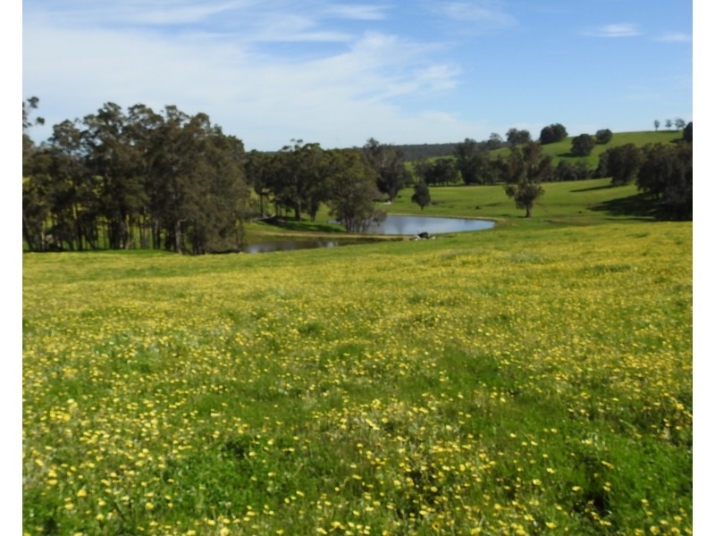 Lot 8295 & 8296 Cundinup South Road, Cundinup WA 6275