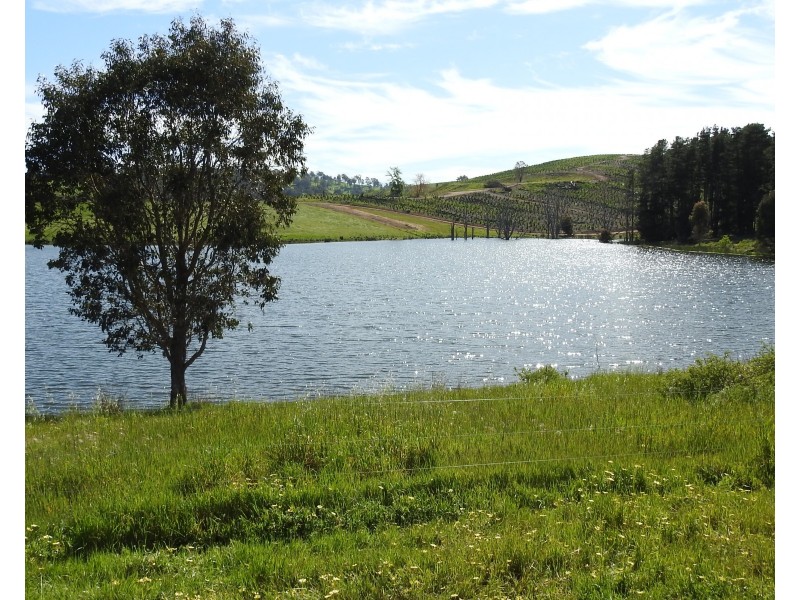 Lot 8295 & 8296 Cundinup South Road, Cundinup WA 6275