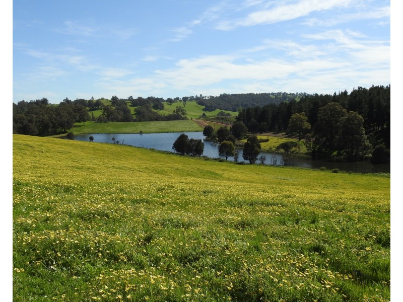 Lot 8295 & 8296 Cundinup South Road, Cundinup WA 6275