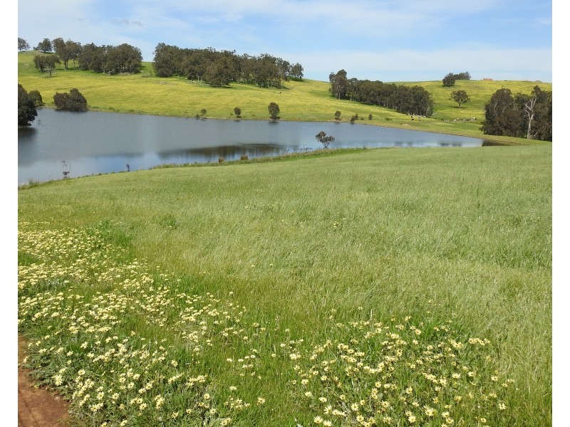 Lot 8295 & 8296 Cundinup South Road, Cundinup WA 6275