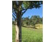 397-405 Aherns Road, Conondale QLD 4552