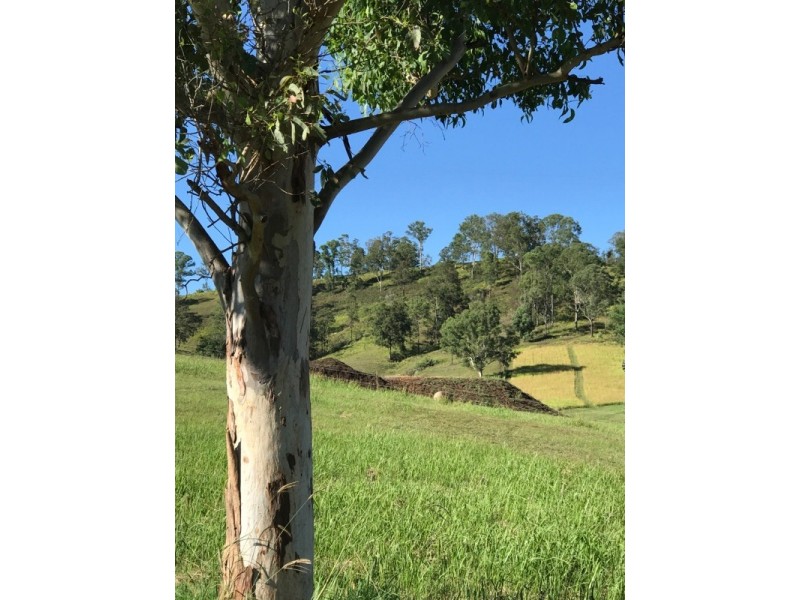 397-405 Aherns Road, Conondale QLD 4552