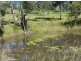 12A Meadow Lane, Conondale QLD 4552