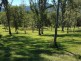 Conondale QLD 4552