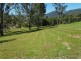 Conondale QLD 4552