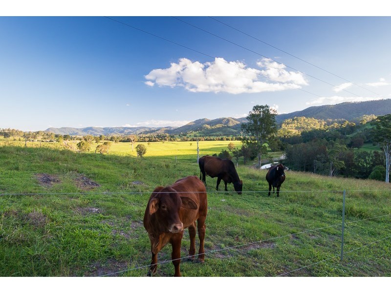 984 Eastern Mary River Road, Cambroon QLD 4552