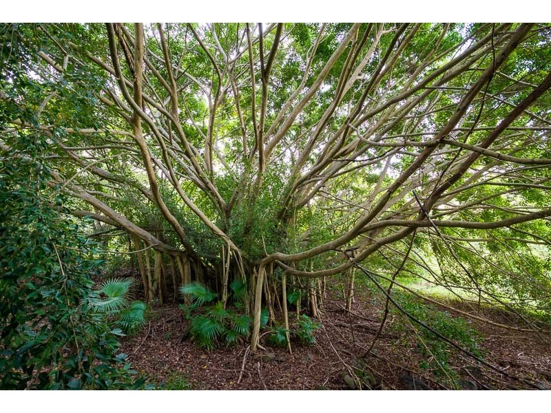 115 Mount Mellum Road, Mount Mellum QLD 4550