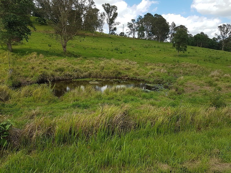 Lot 45 Aherns Road, Conondale QLD 4552