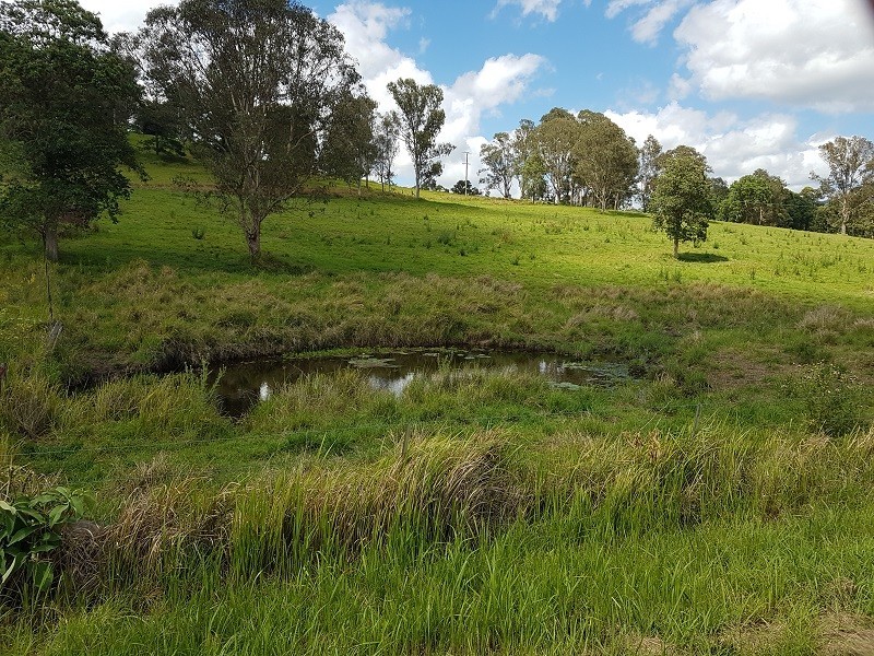 Lot 45 Aherns Road, Conondale QLD 4552