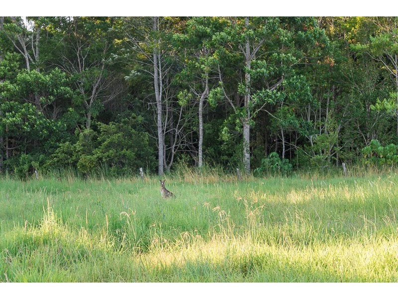 340 Pomona Kin Kin Road, Pinbarren QLD 4568