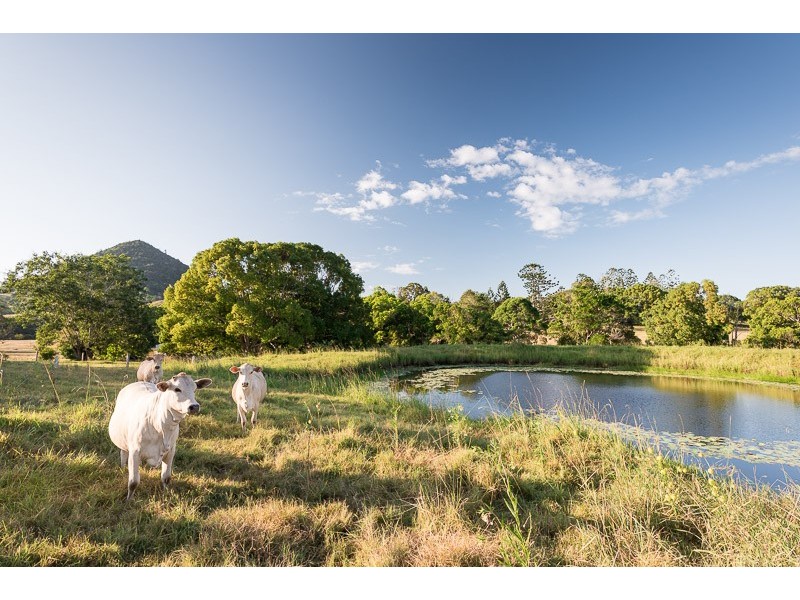 340 Pomona Kin Kin Road, Pinbarren QLD 4568