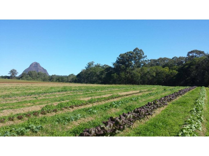 Beerwah QLD 4519