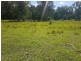 2/948 Aherns Road, Conondale QLD 4552