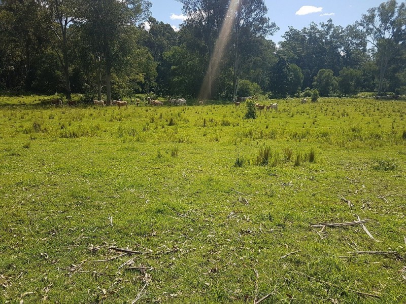 2/948 Aherns Road, Conondale QLD 4552