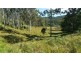 2/948 Aherns Road, Conondale QLD 4552