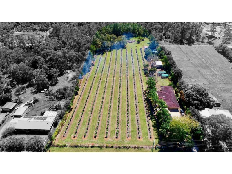 109 Fraser Road, Beerwah QLD 4519