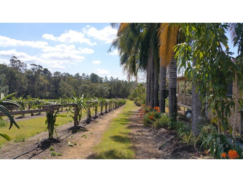 109 Fraser Road, Beerwah QLD 4519