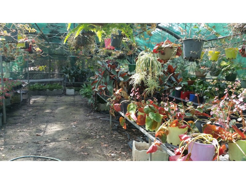 109 Fraser Road, Beerwah QLD 4519