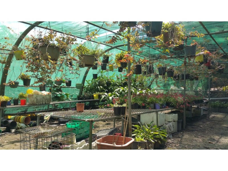 109 Fraser Road, Beerwah QLD 4519