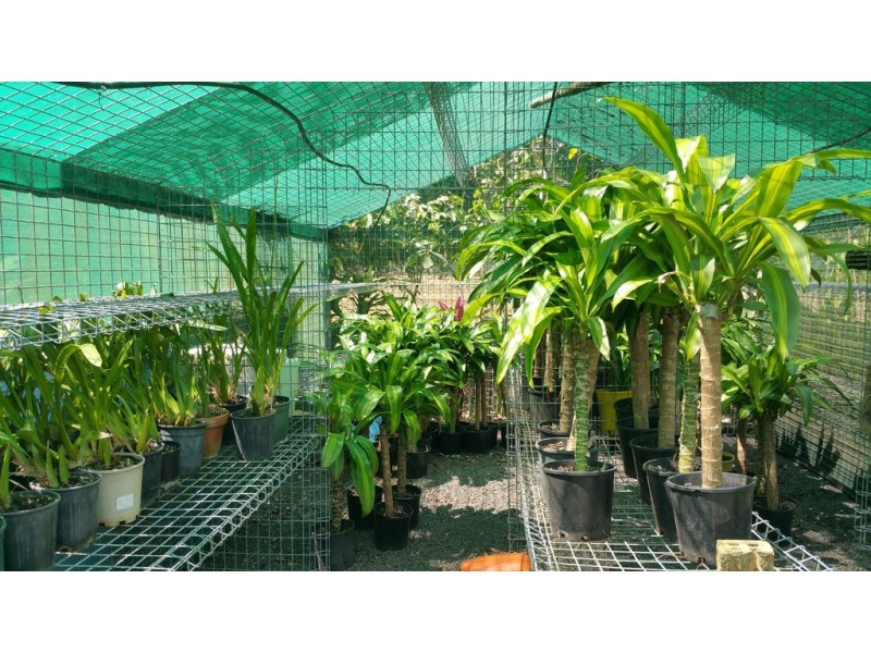 109 Fraser Road, Beerwah QLD 4519