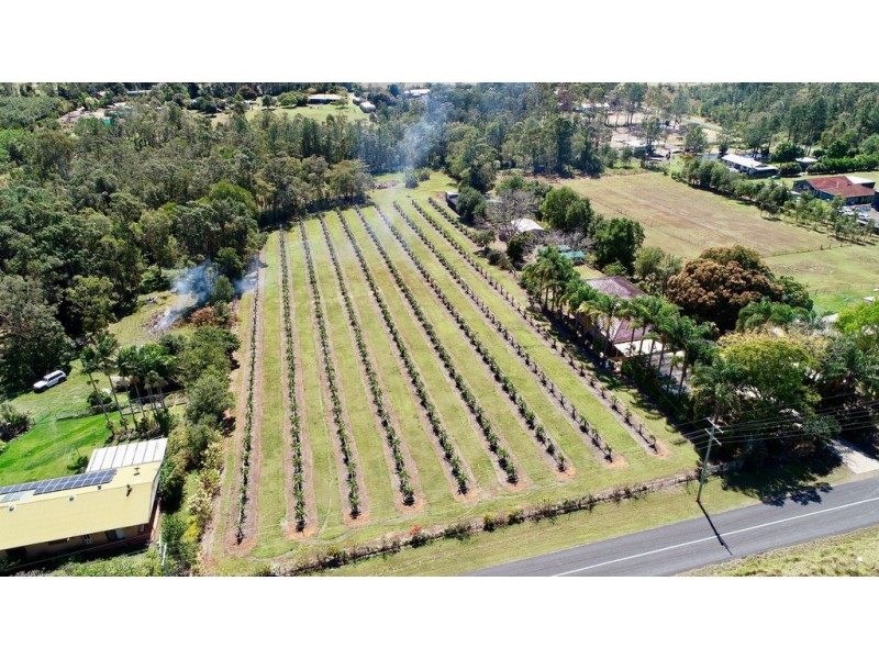 109 Fraser Road, Beerwah QLD 4519