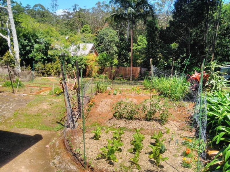 2/43 Mary Cairncross Avenue, Maleny QLD 4552