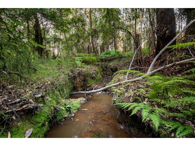 587 Louis Bazzo Drive, Pomona QLD 4568