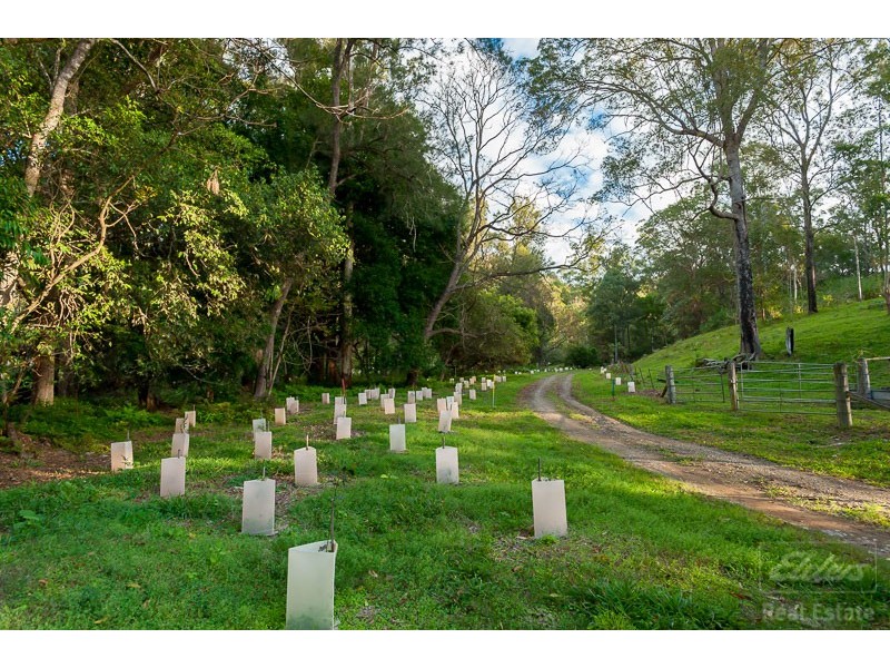 196 Broken Bridge Road, Conondale QLD 4552