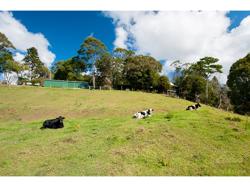 141 Ansell Road, Witta QLD 4552