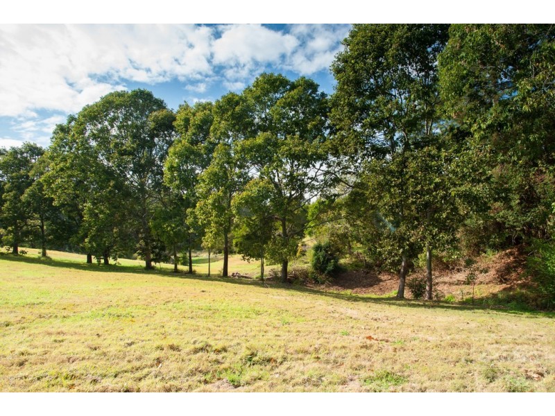 43A OBI LANE, North Maleny QLD 4552