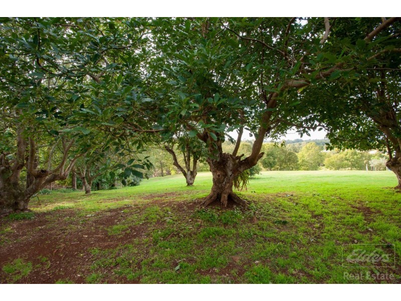 43A OBI LANE, North Maleny QLD 4552