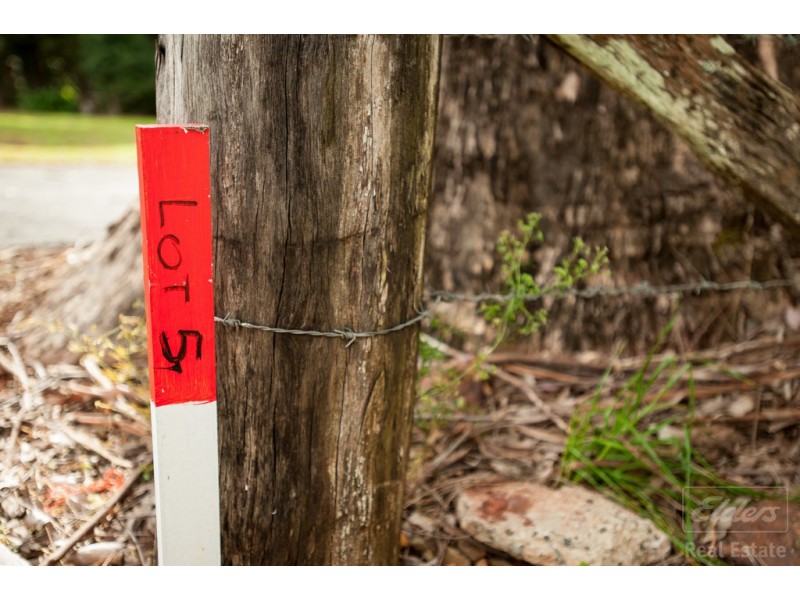 43A OBI LANE, North Maleny QLD 4552