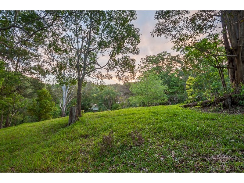 387 PERWILLOWEN ROAD, Perwillowen QLD 4560