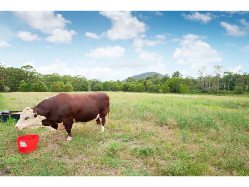 126 YEATES ROAD, Beerwah QLD 4519