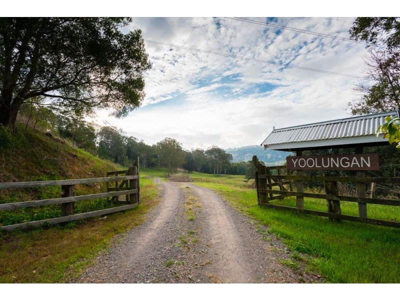 159 Hodgens Road, Bald Knob QLD 4552