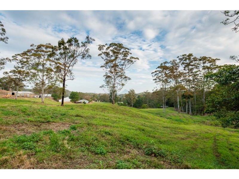 159 Hodgens Road, Bald Knob QLD 4552
