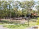 37 Greenway Circuit, Mount Ommaney QLD 4074