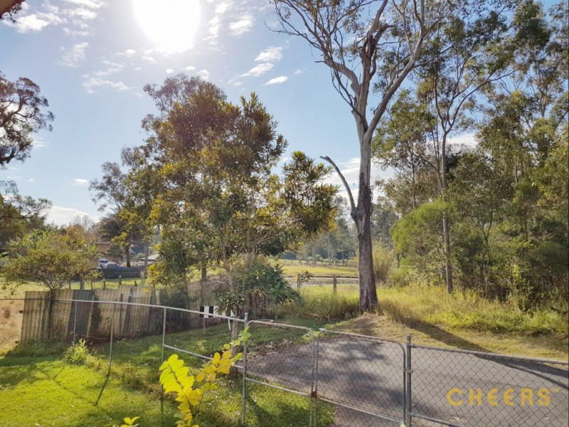 6 Brutus Street, Kingston QLD 4114