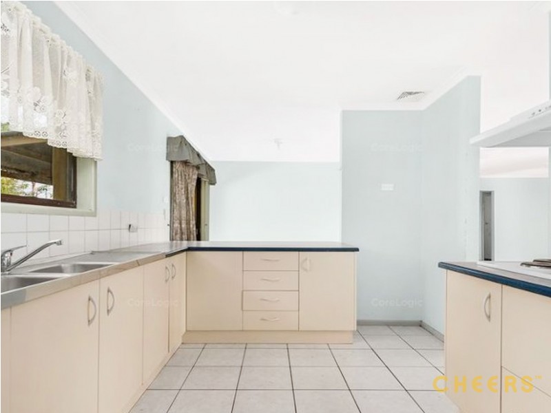 1 Celosia Street, Daisy Hill QLD 4127