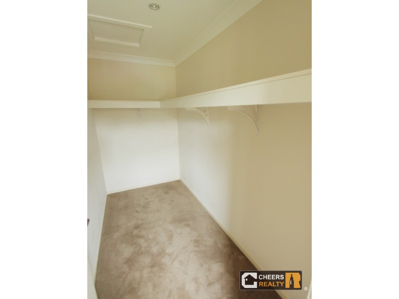 42 Taunton Street, Carseldine QLD 4034