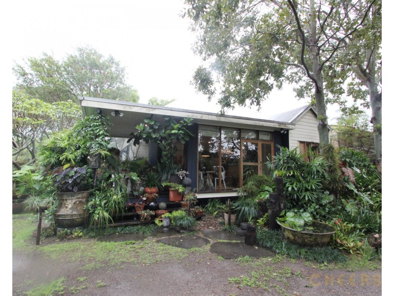 33 Green Terrace, Windsor QLD 4030